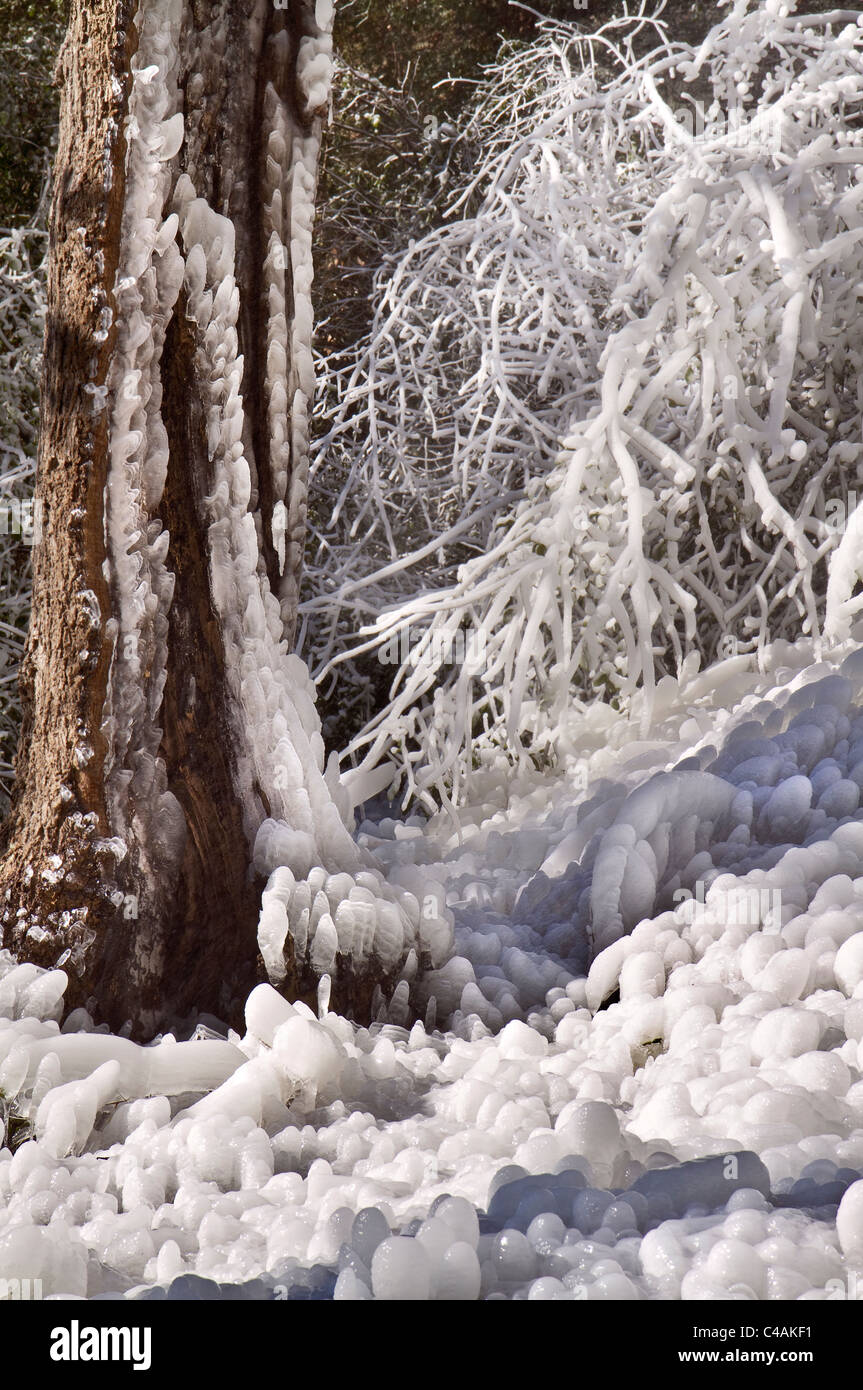 Les gouttes d'eau gelée et de glace près d'une chute au cours de l'hiver. Banque D'Images