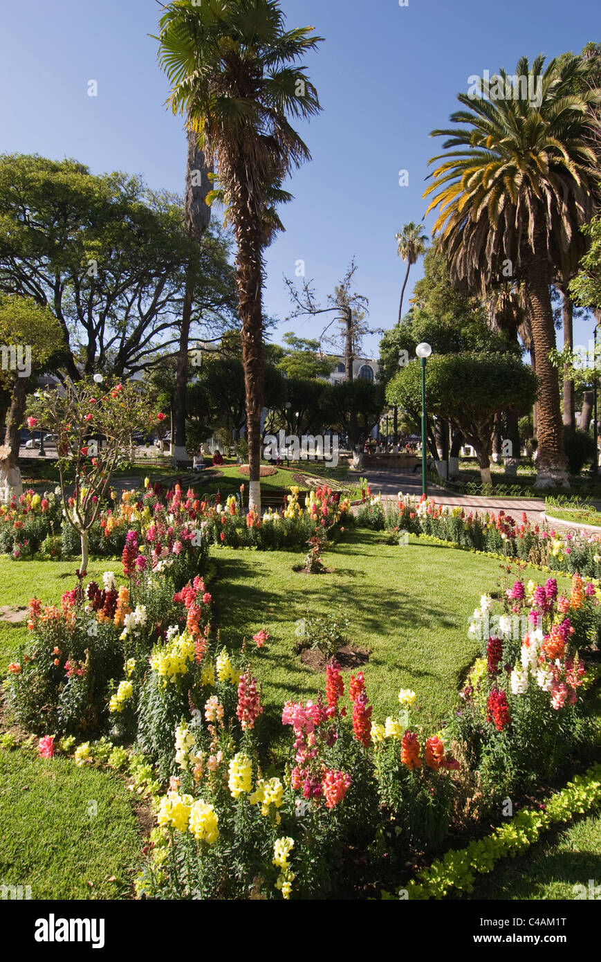 Sucre, Plaza 25 de Mayo, jardins Banque D'Images