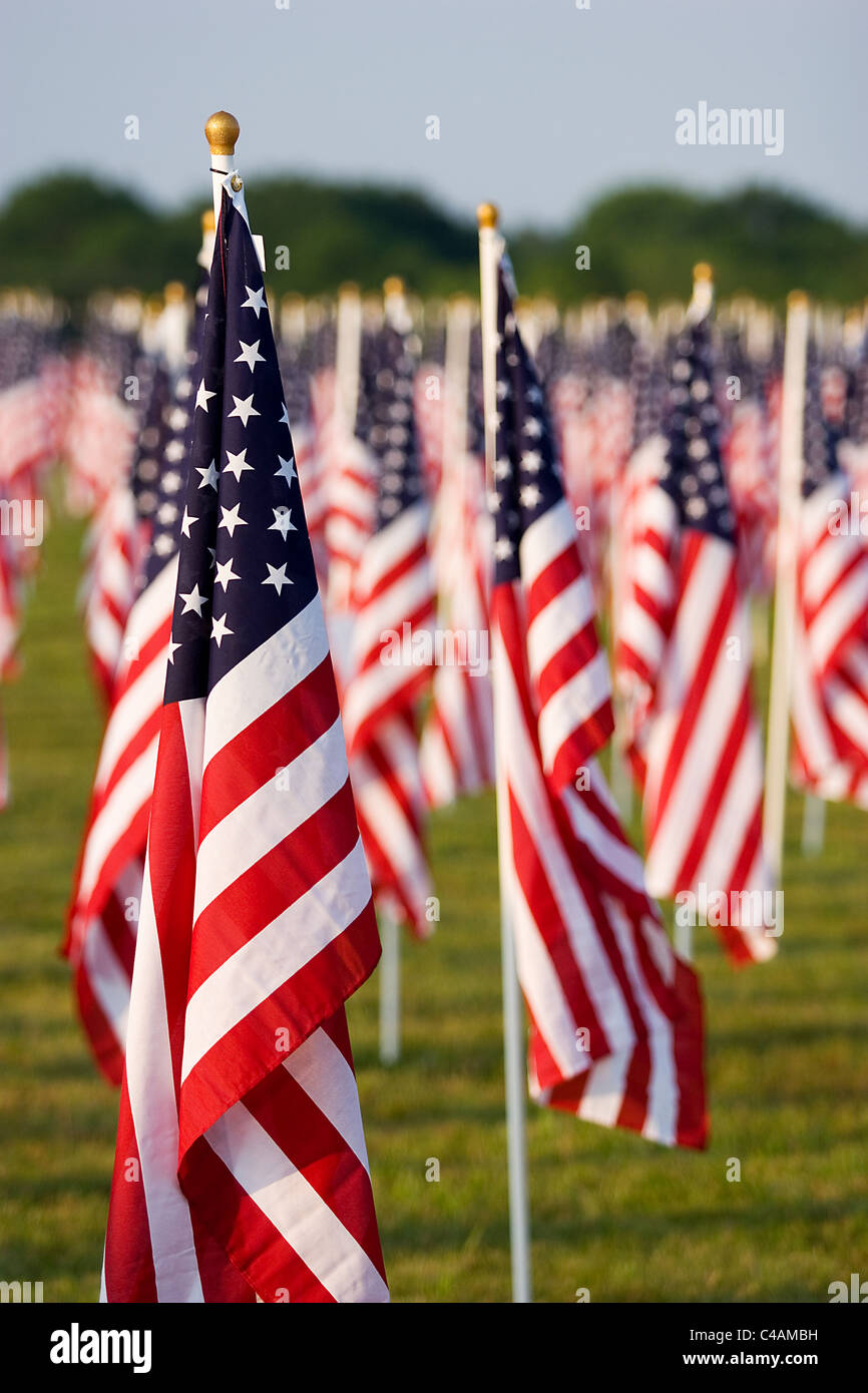 Plusieurs drapeaux américains alignés pour un événement Memorial Day Banque D'Images