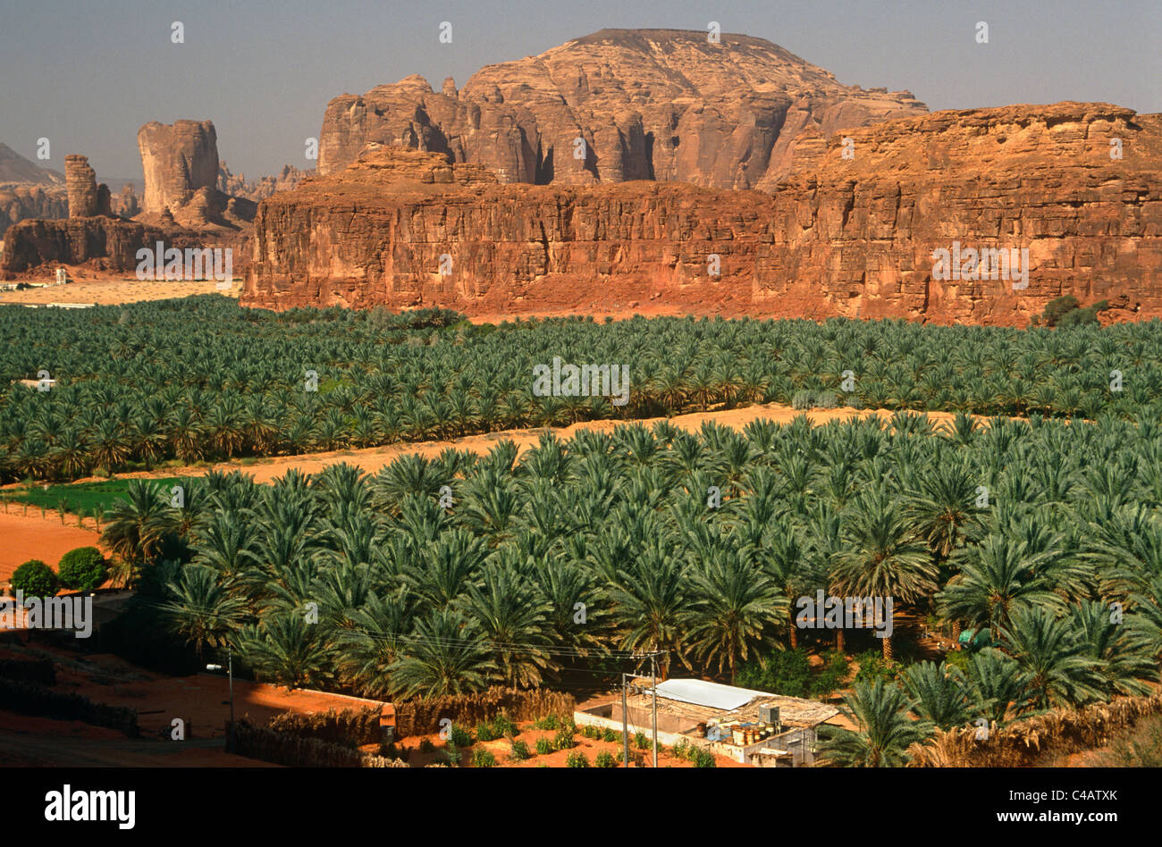 L'Arabie saoudite, Médine, Al-Ula. Les plantations se situent au milieu Date paysage pittoresque dans l'oasis entourant Al-Ula. Banque D'Images