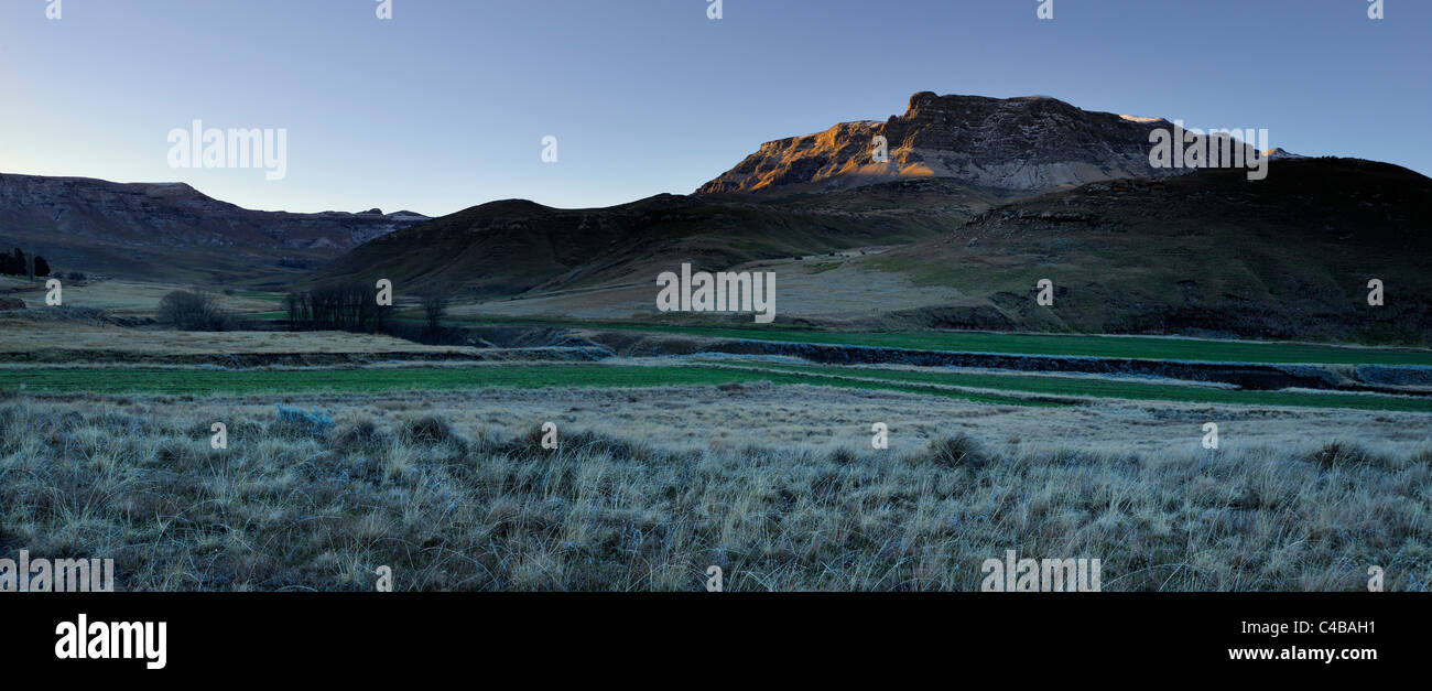 Vue panoramique de givre sur terrain avec des montagnes, jetant un coup d'arrière-plan de Barkly East, Eastern Cape, Afrique du Sud Banque D'Images