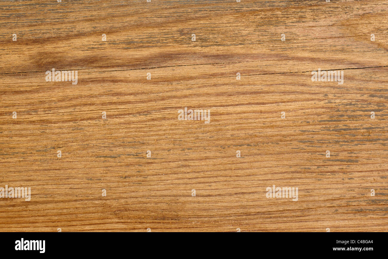 Fond de bois Banque D'Images