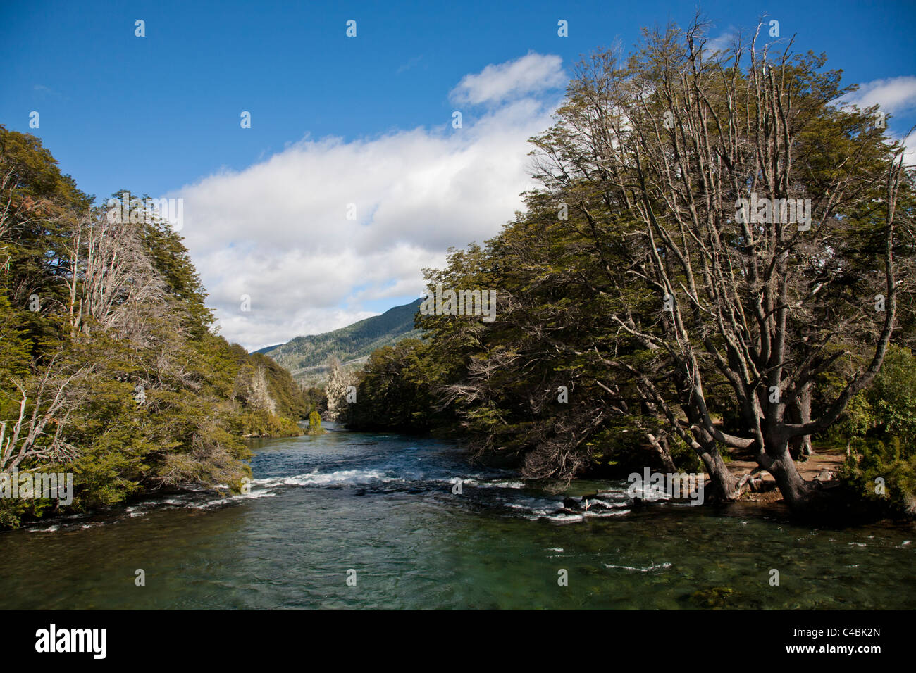 Le Parc National Nahuel Huapi, Patagonie, Argentine Banque D'Images