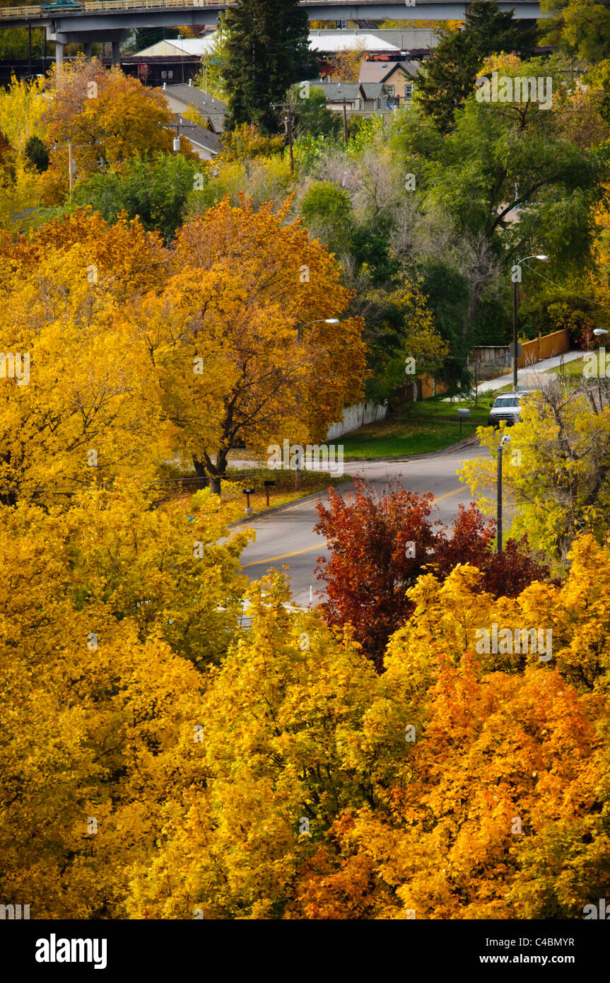 À partir de la North Hills, Missoula, Montana présente une couverture des arbres à feuillage brillant de roulement au cours de l'automne. Banque D'Images