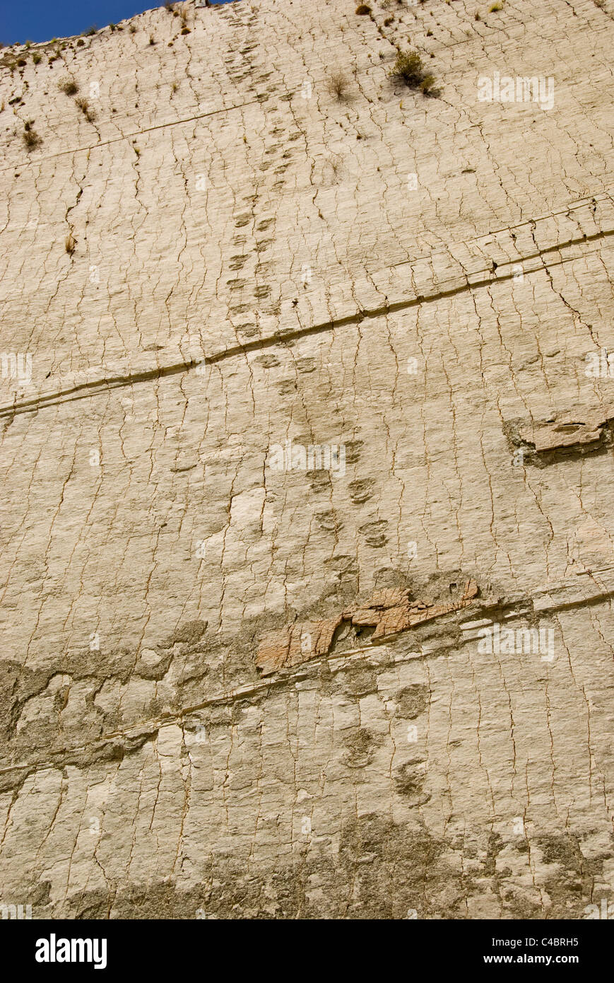 Sucre, Cal Orcko, Francesca Quarry, traces de dinosaures Banque D'Images