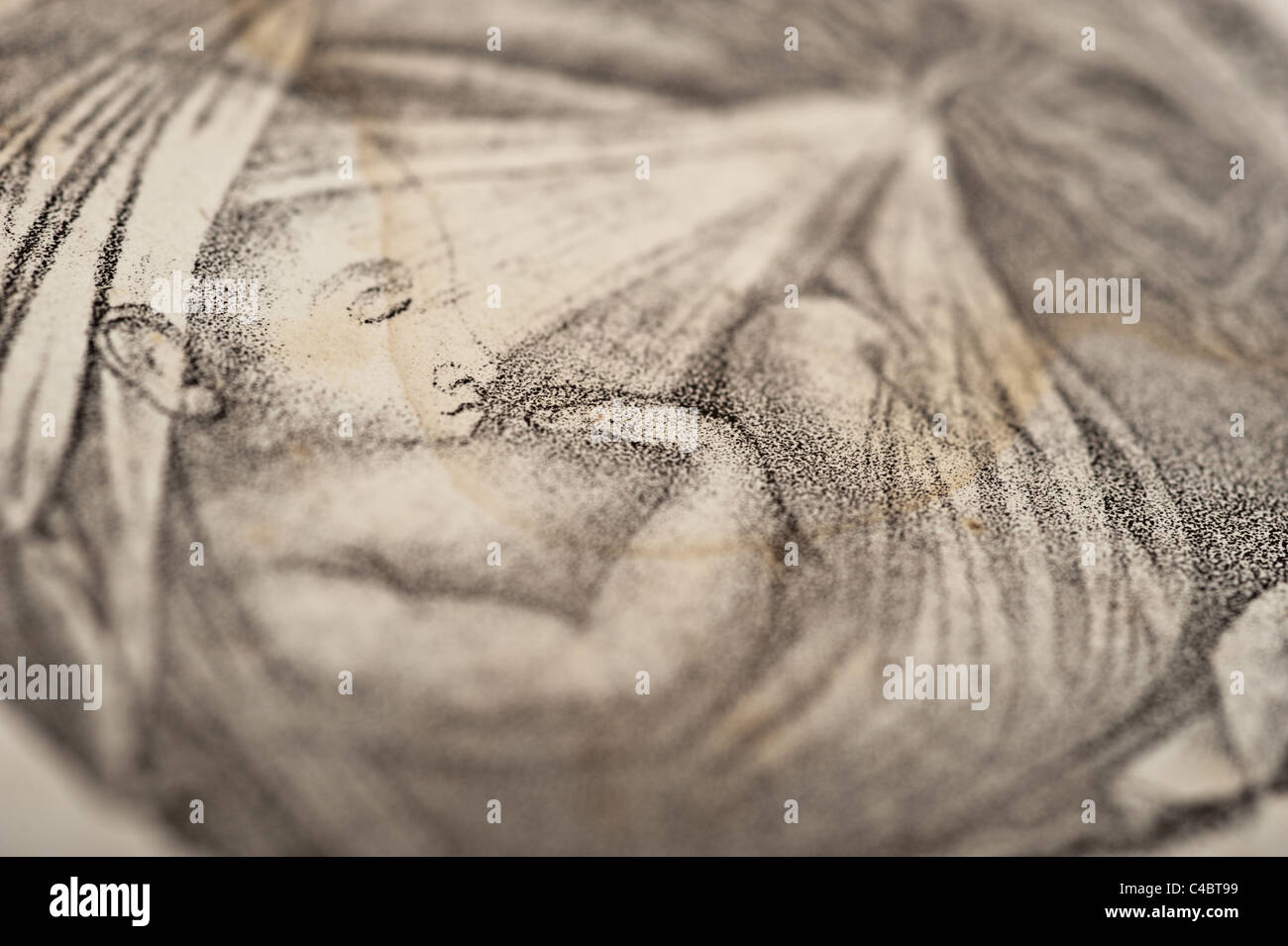 Illustration d'un foetus humain avec Placenta vers 1844 Banque D'Images