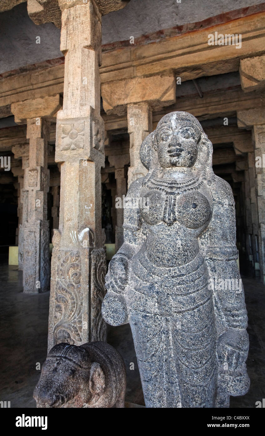 Inde - Tamil Nadu - Madurai - sculptures à l'intérieur du temple Sri Meenakshi Banque D'Images
