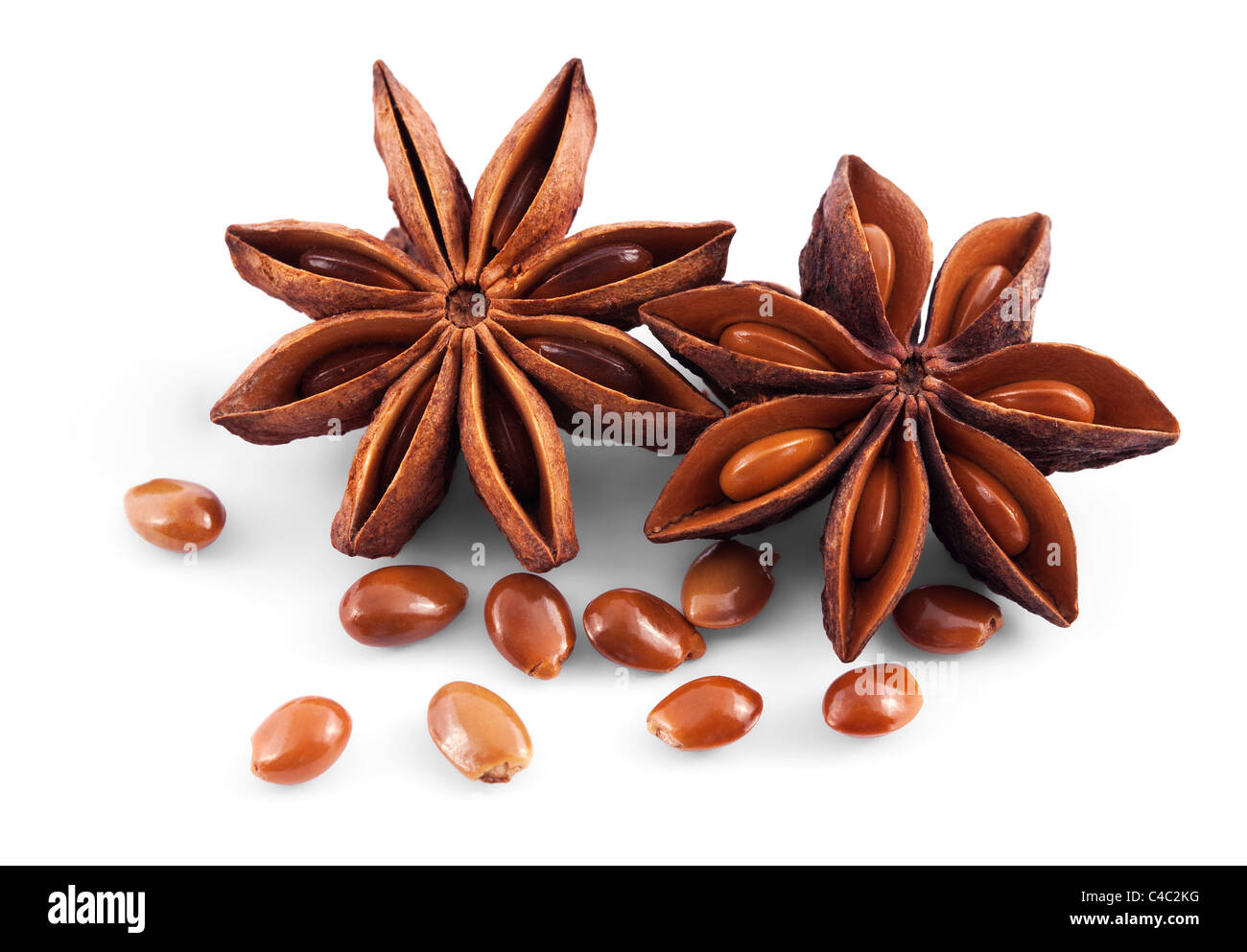 Anis étoile isolé sur fond blanc Banque D'Images