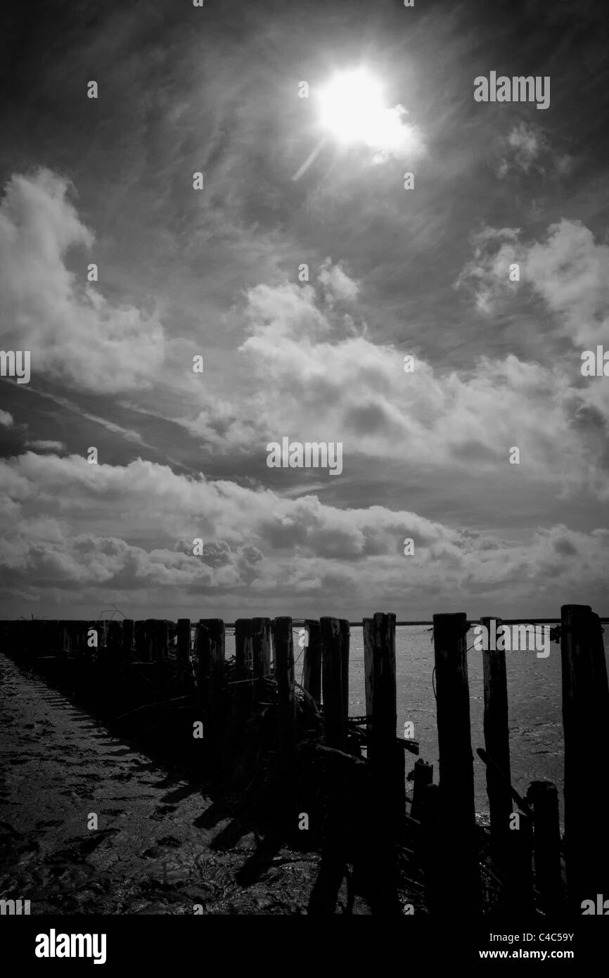 Image en noir et blanc d'un brise-lames en bois de la mer des Wadden, un site du patrimoine mondial de l'UNESCO Banque D'Images