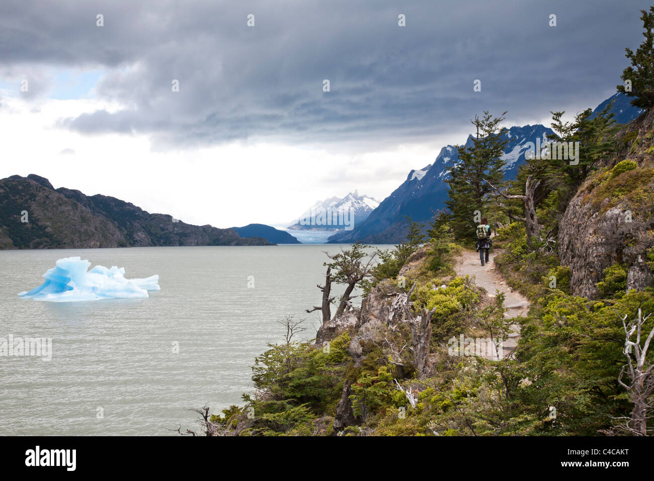 Gris Glacier et le lac Grey, Parc National Torres del Paine, Chili Banque D'Images