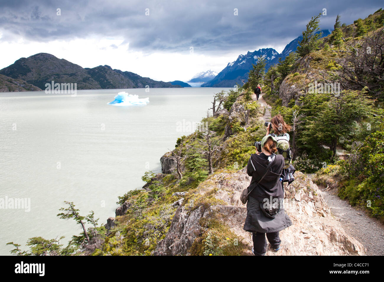 Gris Glacier et le lac Grey, Parc National Torres del Paine, Chili Banque D'Images
