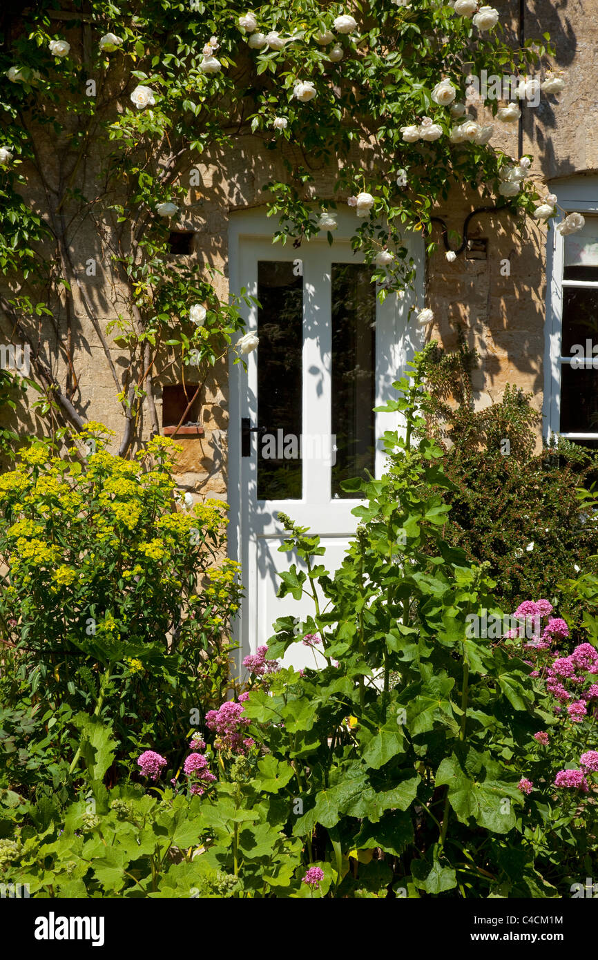 Porte en bois blanc de cottage anglais avec des roses blanches de l'escalade en Angleterre Banque D'Images