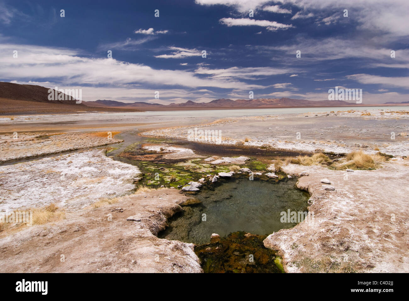 La Bolivie, l'Altiplano S de Salar de Uyuni, Edwardo Avaroa, Parc National Laguna Chalviri et cours d'eau de source chaude Banque D'Images