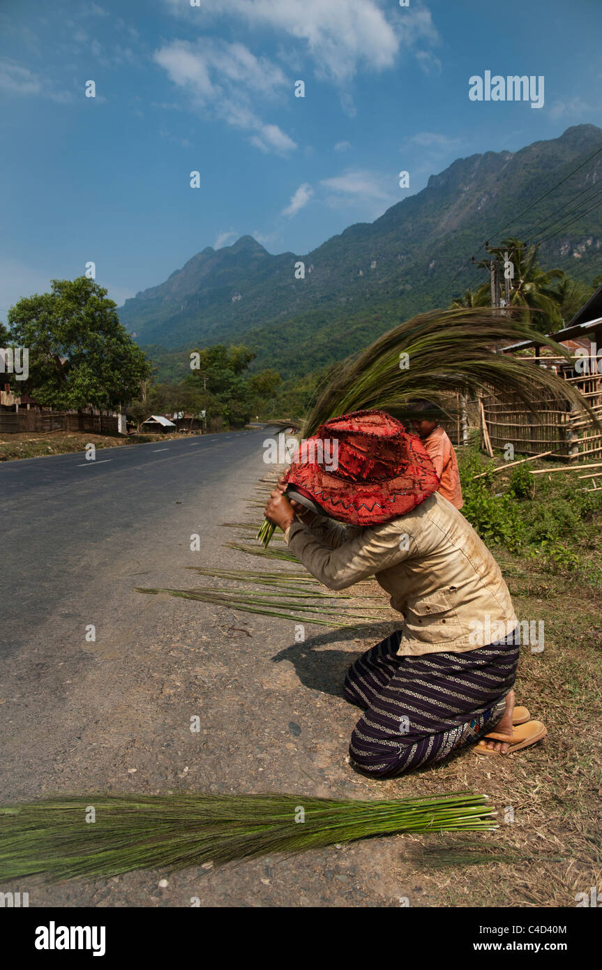 Femme laotienne travaillant pour faire un balai sur le côté route. Banque D'Images