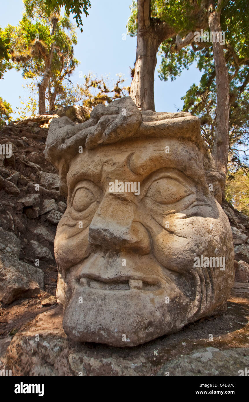 Tête sculptée de old man (Cabeza del Anciano) sur l'acropole de ruines Maya de Copan Banque D'Images