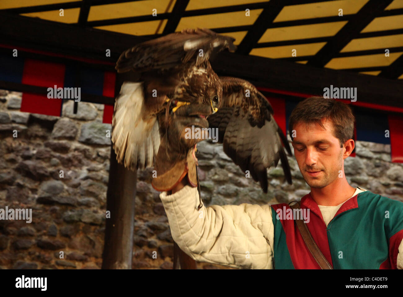 Homme avec hawk, chevalier avec costume traditionnel Banque D'Images