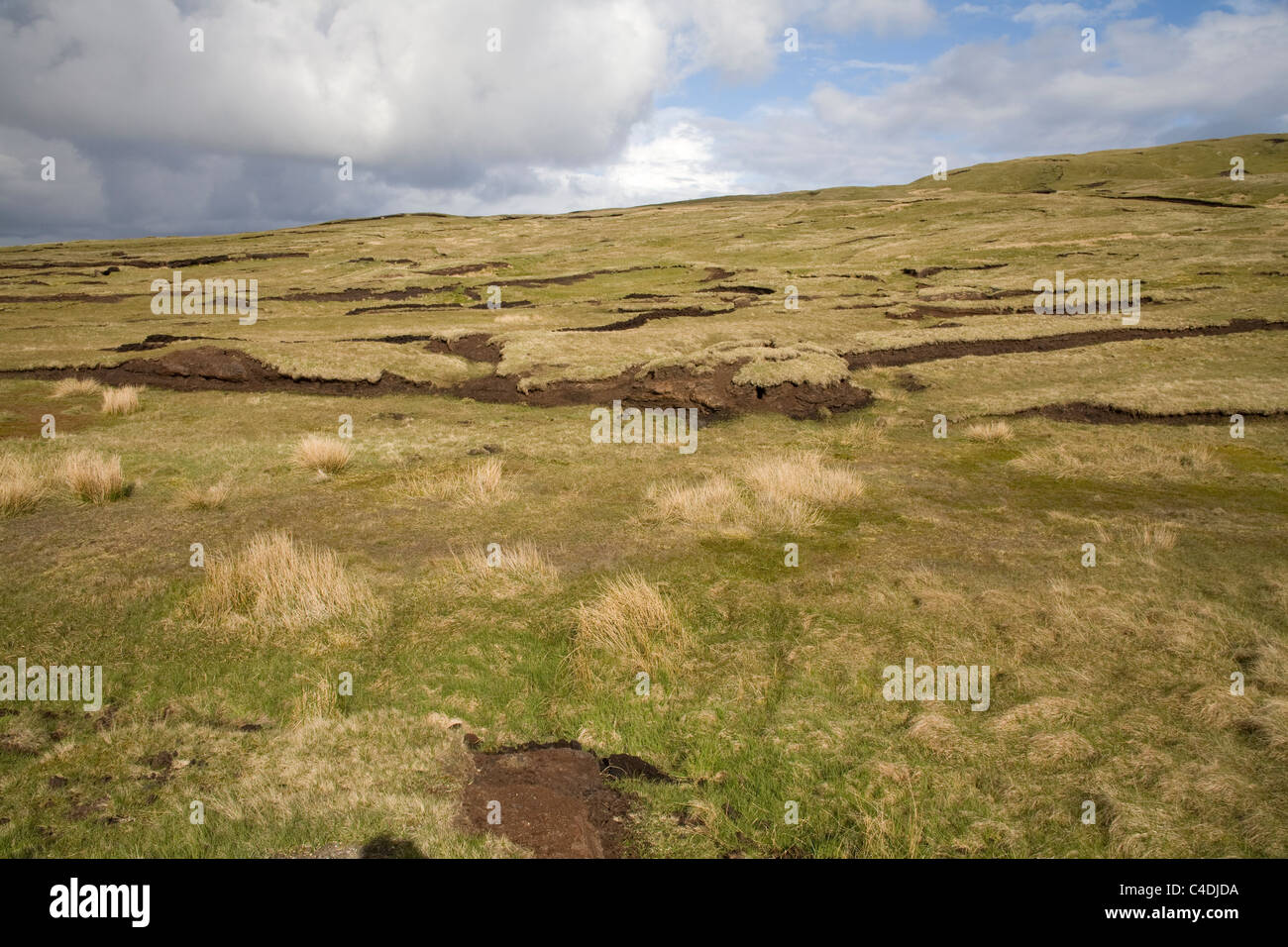 Shetlands Islands lignes de tourbe montrant à travers l'herbe touffée Sur un flanc de coteau Ecosse, un environnement important au Royaume-Uni stocke le dioxyde de carbone Banque D'Images
