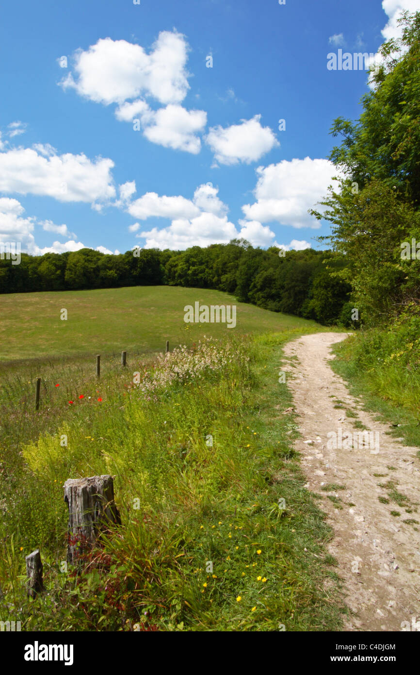 La campagne dans la vallée de Hughenden Chilterns, High Wycombe, Buckinghamshire, Royaume-Uni Banque D'Images