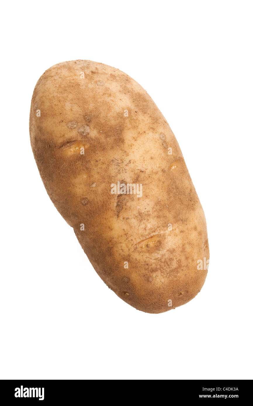 De pommes de terre roussâtres avec fond blanc Banque D'Images
