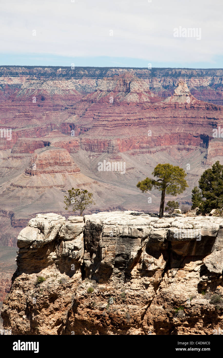 Grand canyon arizona usa montrant les strates et la géologie et des couleurs dans les couches de roche Banque D'Images