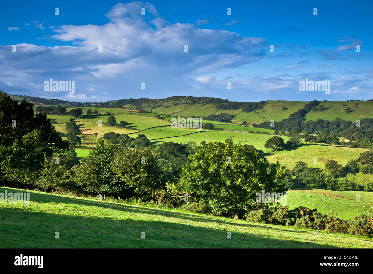 Kerridge Hill,nr.Bollington, Cheshire Banque D'Images