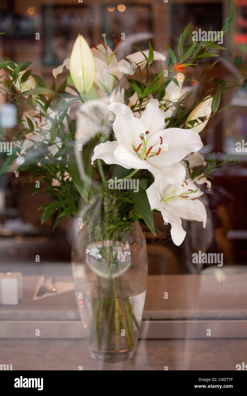 Lis dans un vase dans le fenêtre dans la ville de Lille Flandre France Banque D'Images