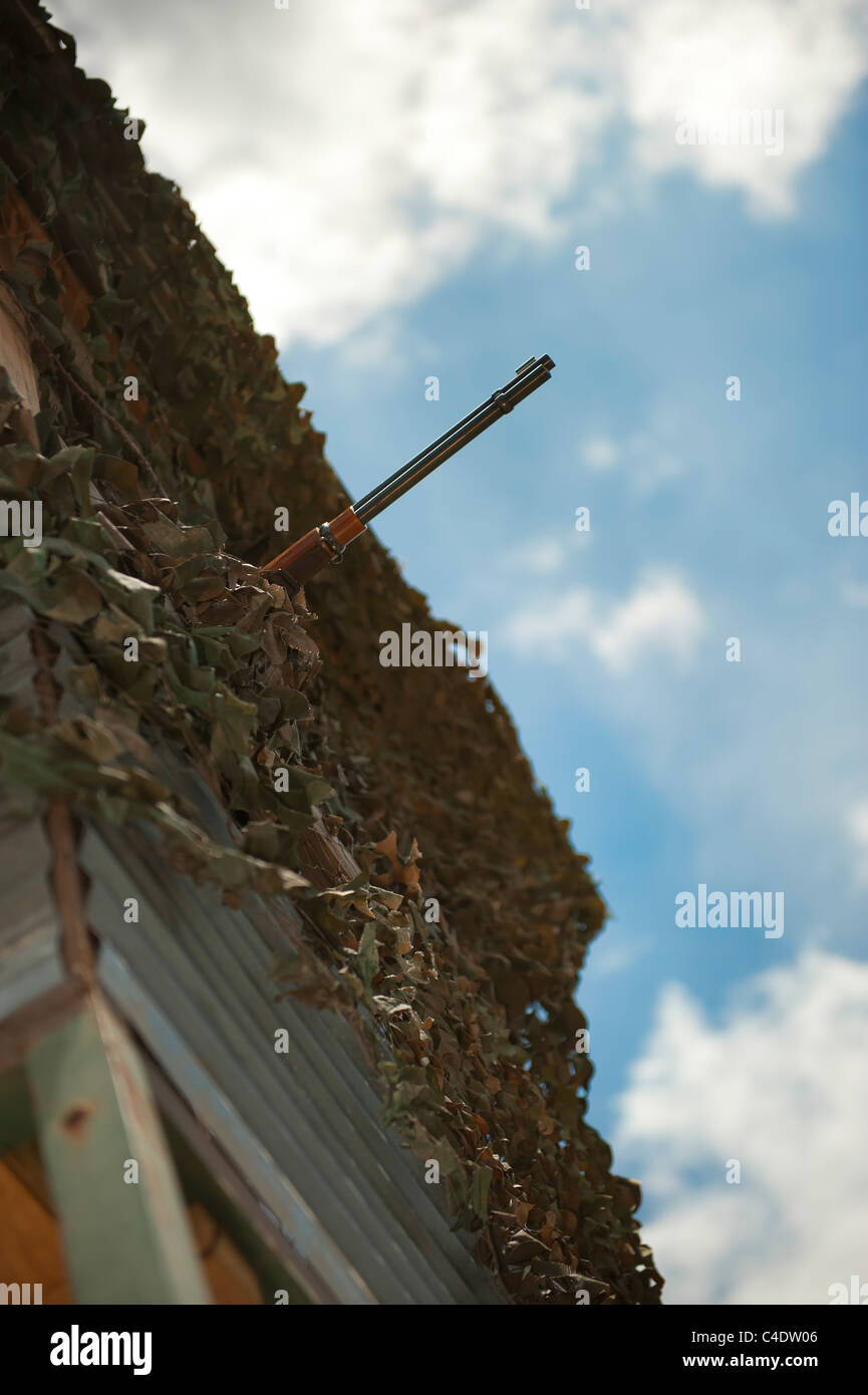 La carabine sur un blind Banque D'Images