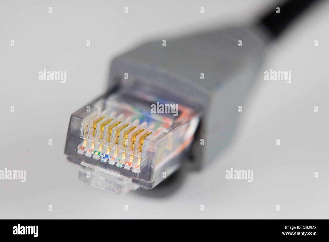 Connecteur Ethernet RJ-45 sur fond blanc Banque D'Images