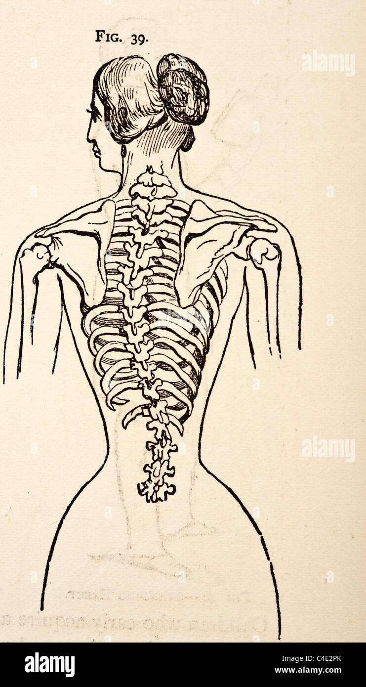 Illustration des droits de l'homme Squelette copyright 1877 Banque D'Images