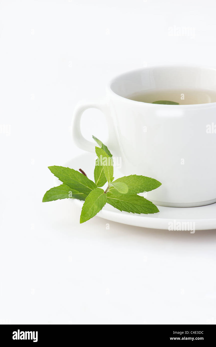 Tasse de thé à la menthe sur fond blanc Banque D'Images