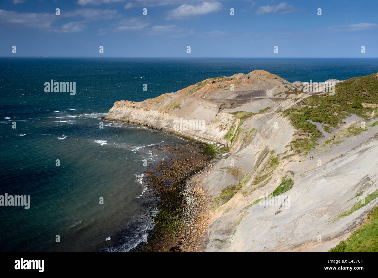 Vue du haut de la falaise électrique Ness, Côte Est, Yorkshire, Angleterre Banque D'Images