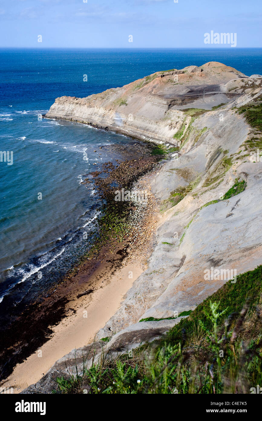 Vue du haut de la falaise électrique Ness, Côte Est, Yorkshire, Angleterre Banque D'Images