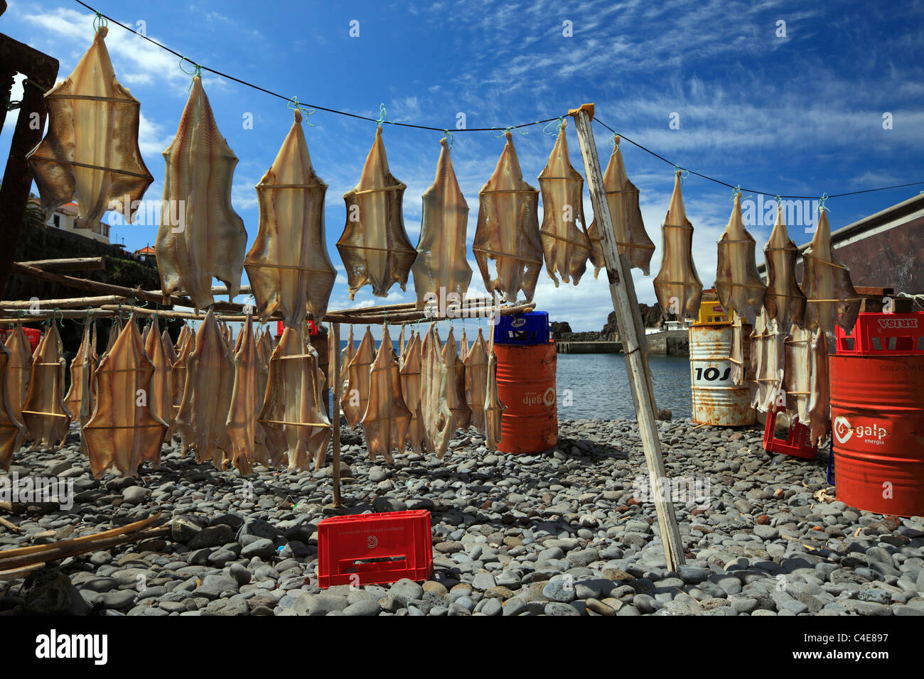 Le séchage du poisson scène, Camara de Lobos, Madère port. Banque D'Images