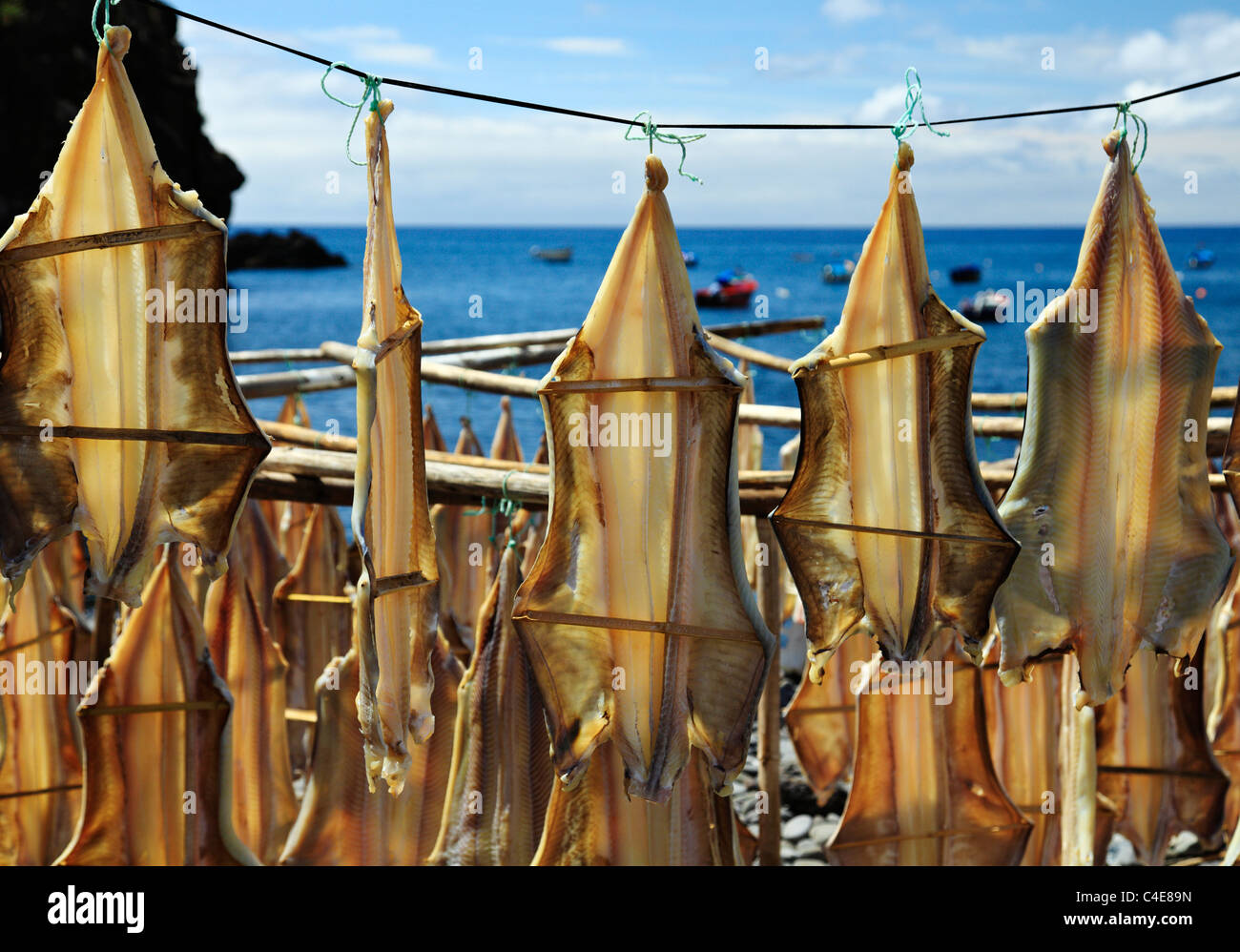 Le séchage du poisson, scène Camara de Lobos port. Banque D'Images