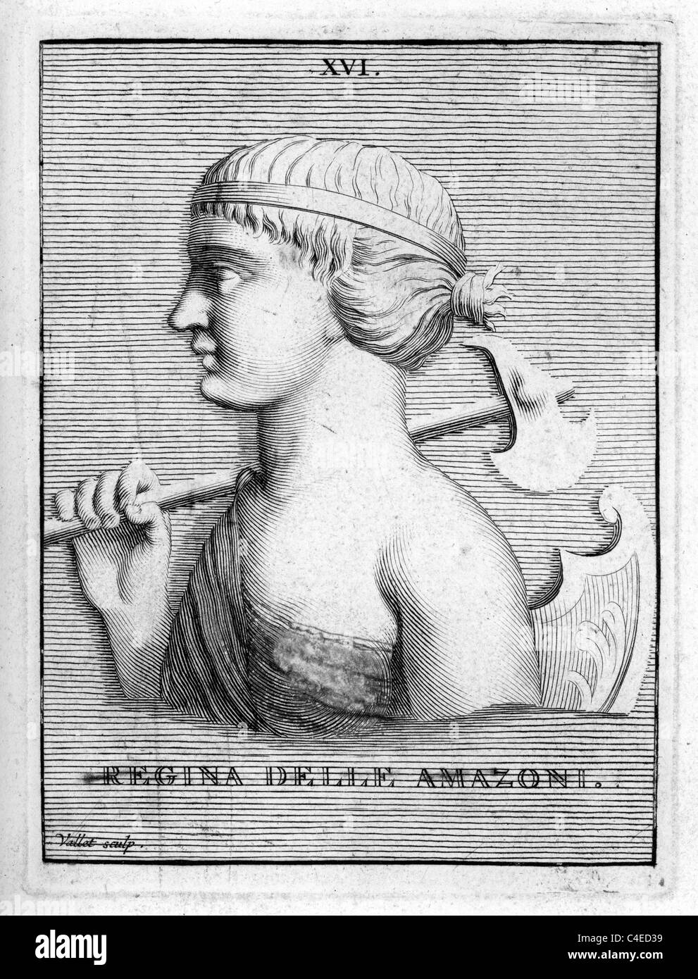 Portrait classique de la reine des amazones une nation de toutes les femmes guerrières de l'antiquité classique et de la mythologie grecque. Banque D'Images