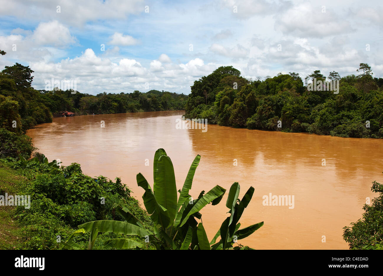 La rivière Sungai Tembeling, Taman Negara N.P. Banque D'Images