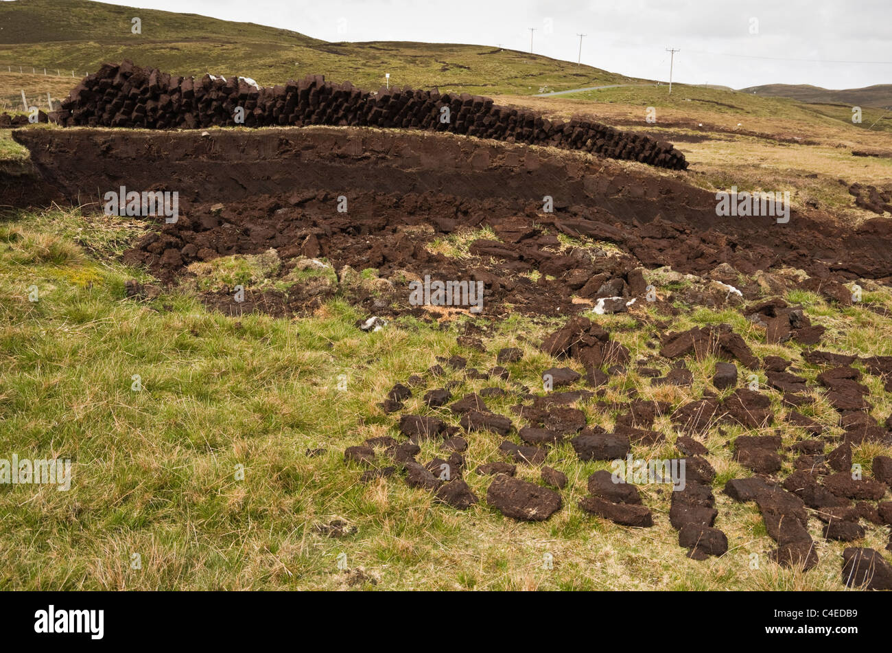 Les Îles Shetland, Écosse, Royaume-Uni, Europe. Blocs de tourbe landes avec cut out pour le carburant Banque D'Images