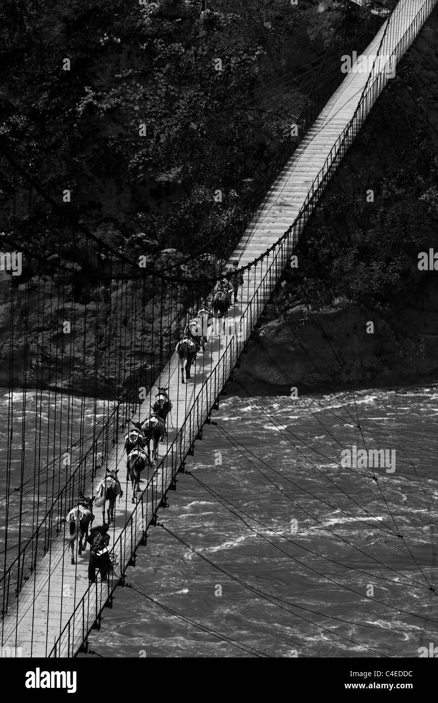 Chevaux de traverser le Shi Yi Luo pont sur la rivière Yalong. Au Sichuan, en Chine. Banque D'Images