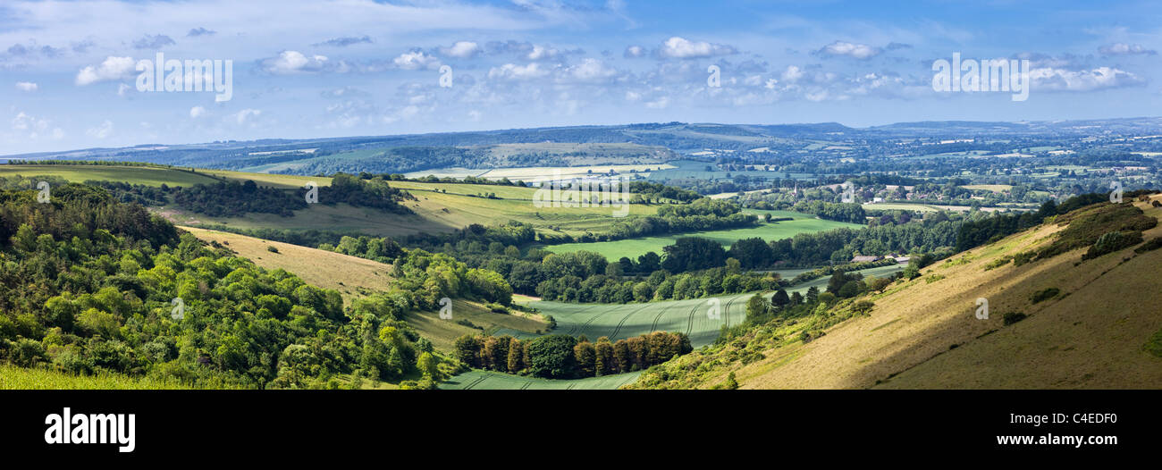 La campagne anglaise : Blackmore Vale dans le Dorset, Angleterre, RU Banque D'Images