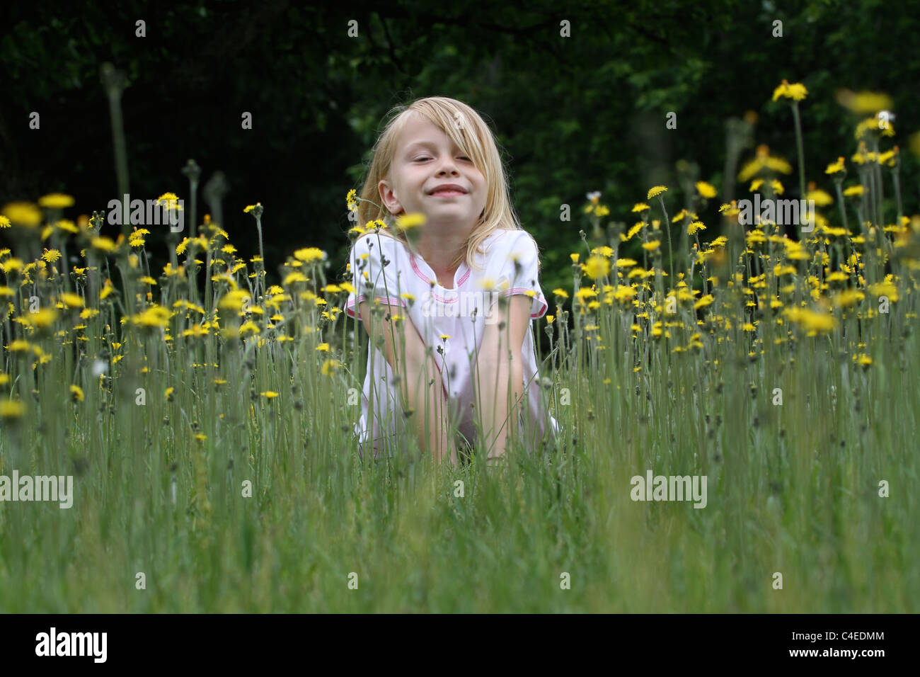 Une jeune fille joue dans un champ plein de fleurs. Banque D'Images