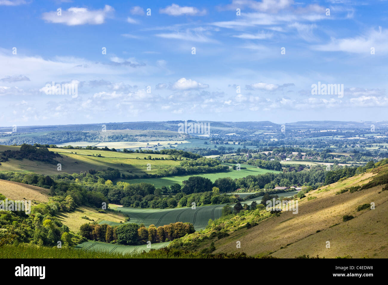 English Vue sur campagne de collines dans le Dorset, Angleterre, RU Banque D'Images