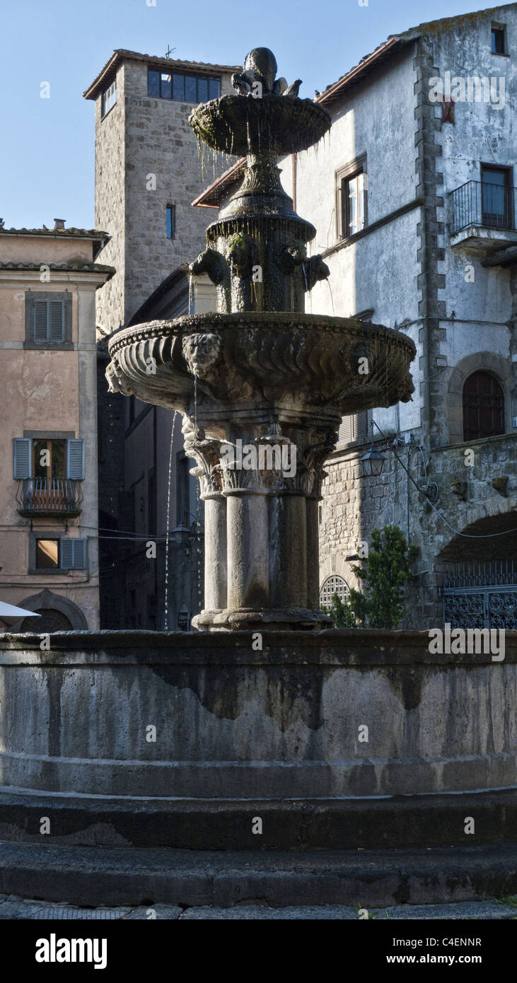 La fontaine sur la Piazza del Gesù, Viterbo, Italie. Banque D'Images