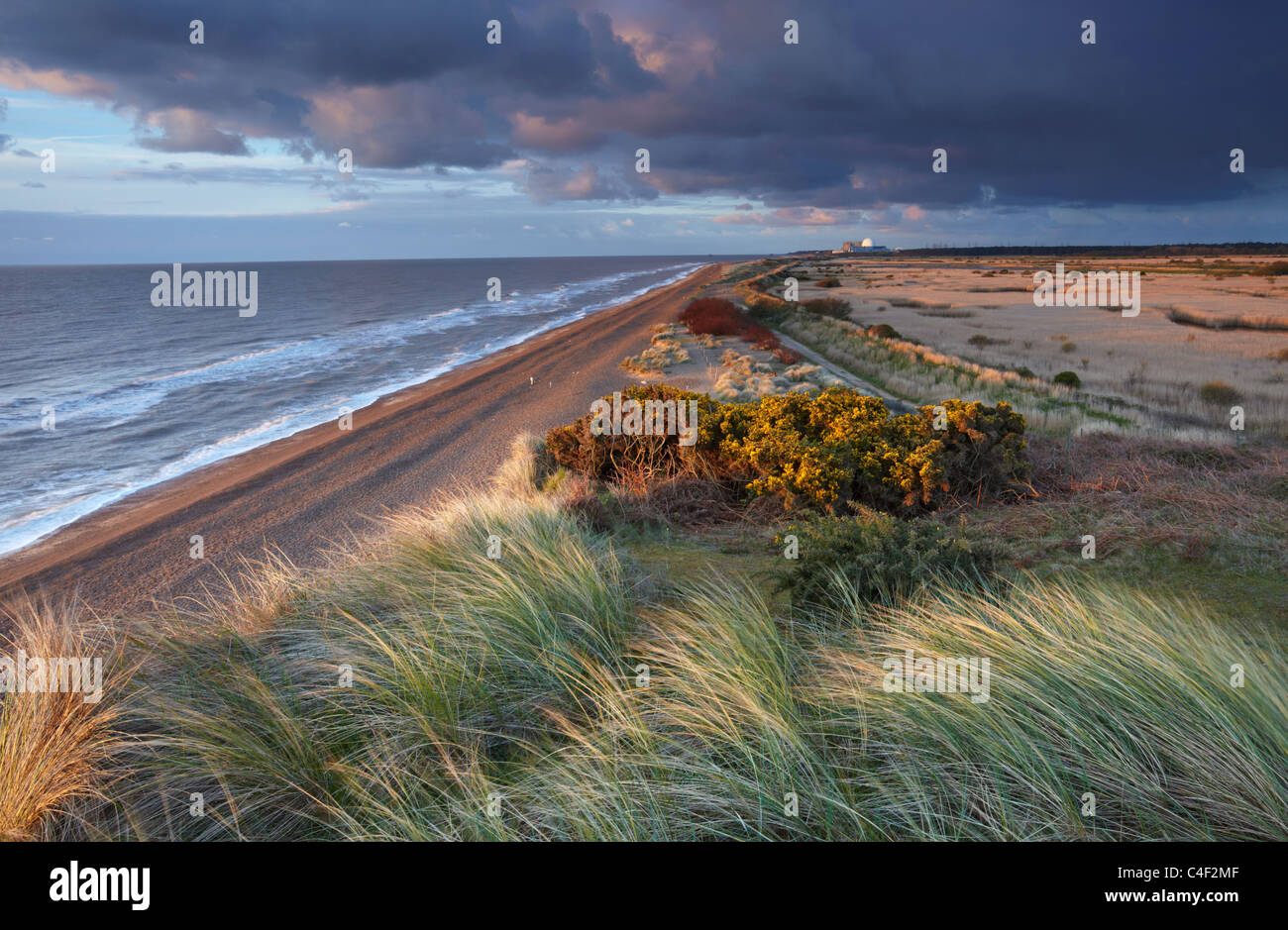 Dunwich sur la côte du Suffolk Banque D'Images