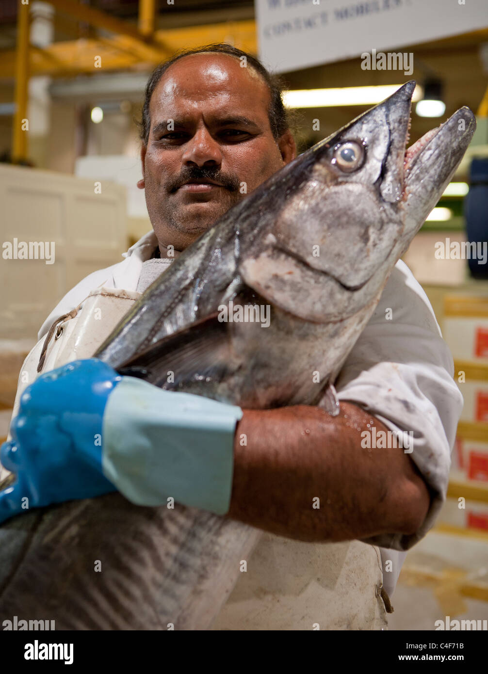 L'opérateur de marché Billingsgate holding Kingfish Banque D'Images