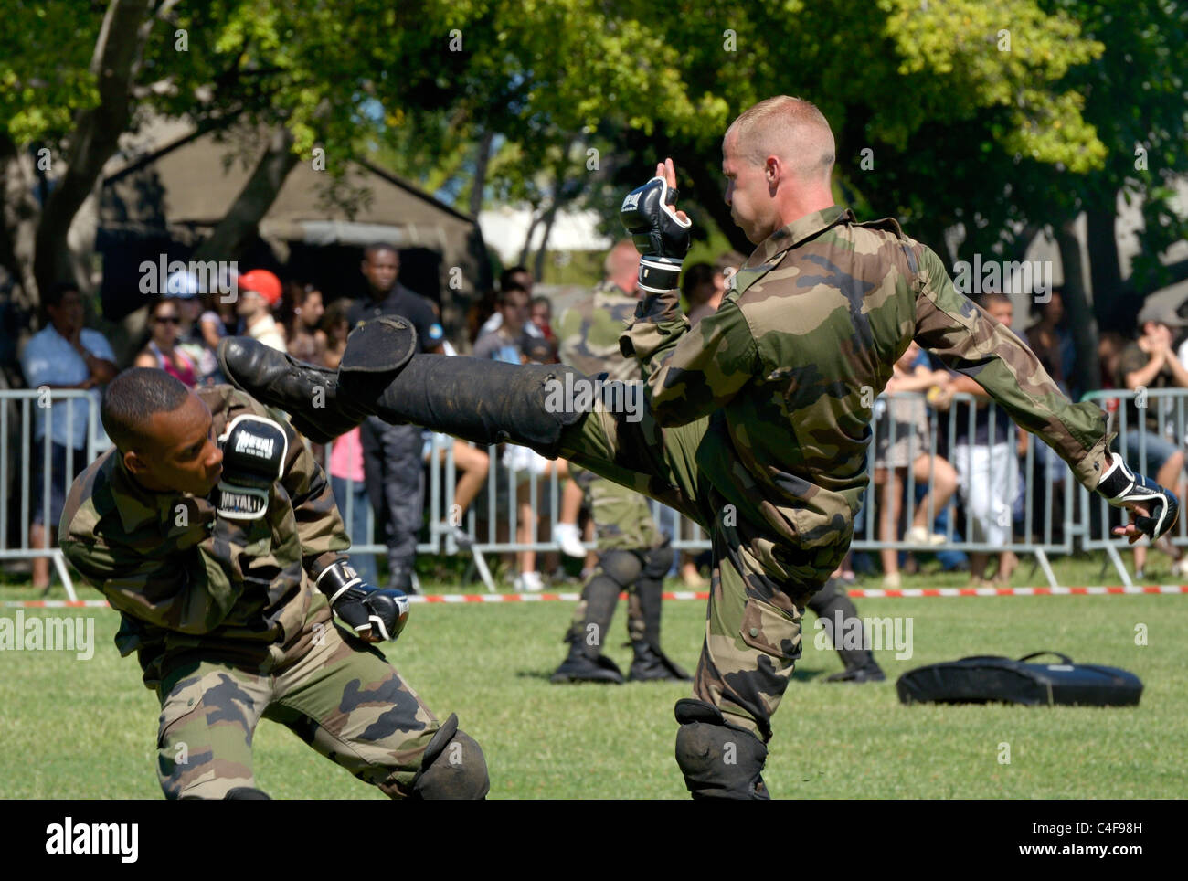 Montrer des forces françaises à la réunion de parachutistes Banque D'Images