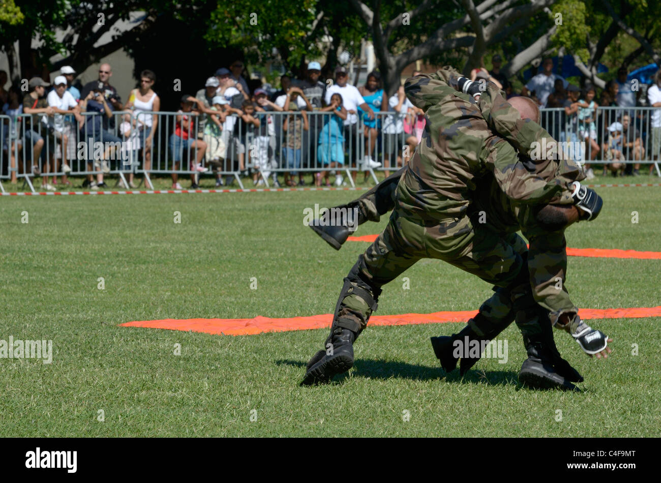 Montrer des forces françaises à la réunion de parachutistes Banque D'Images