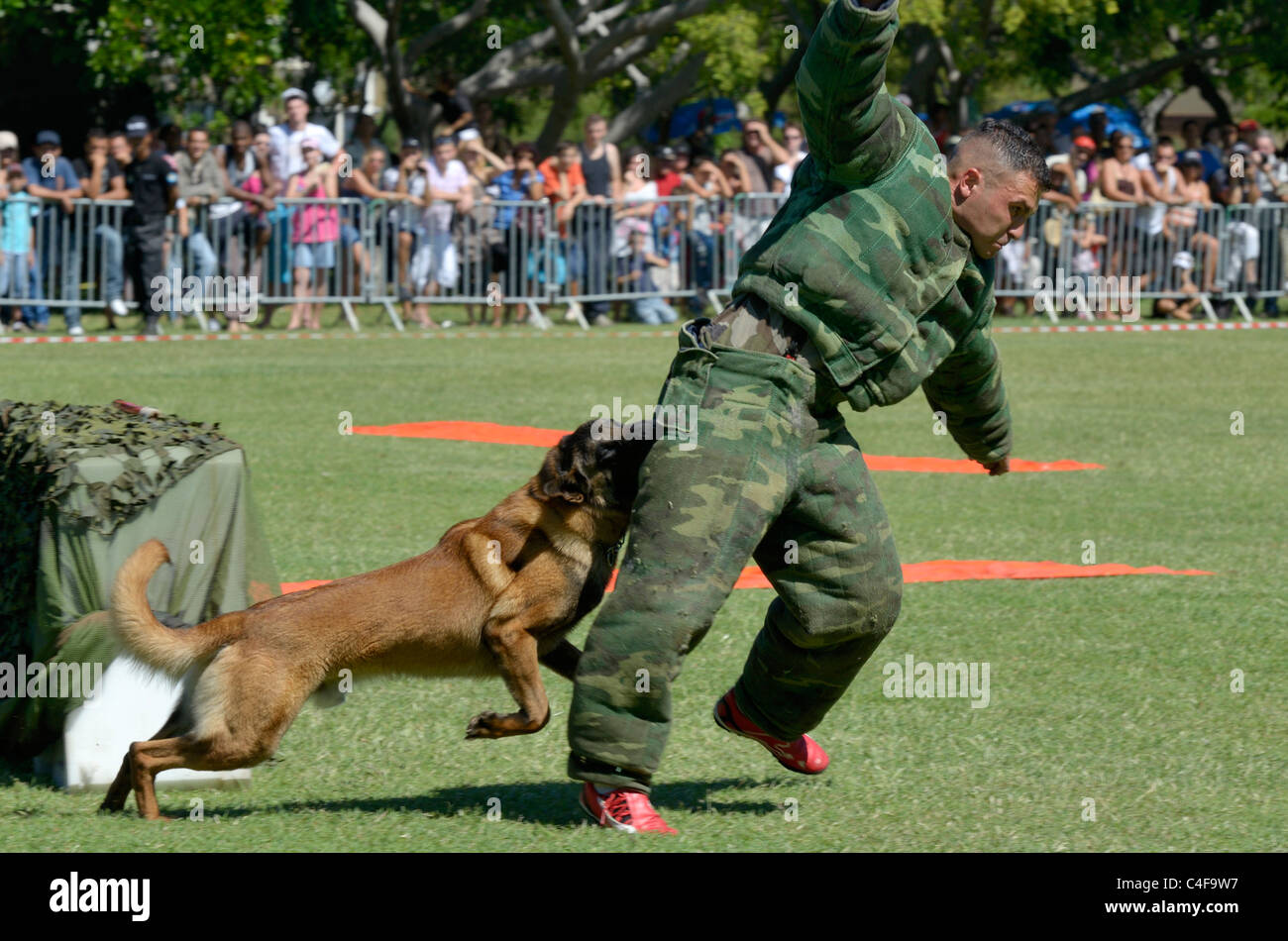 Montrer des forces françaises à la réunion de parachutistes Banque D'Images