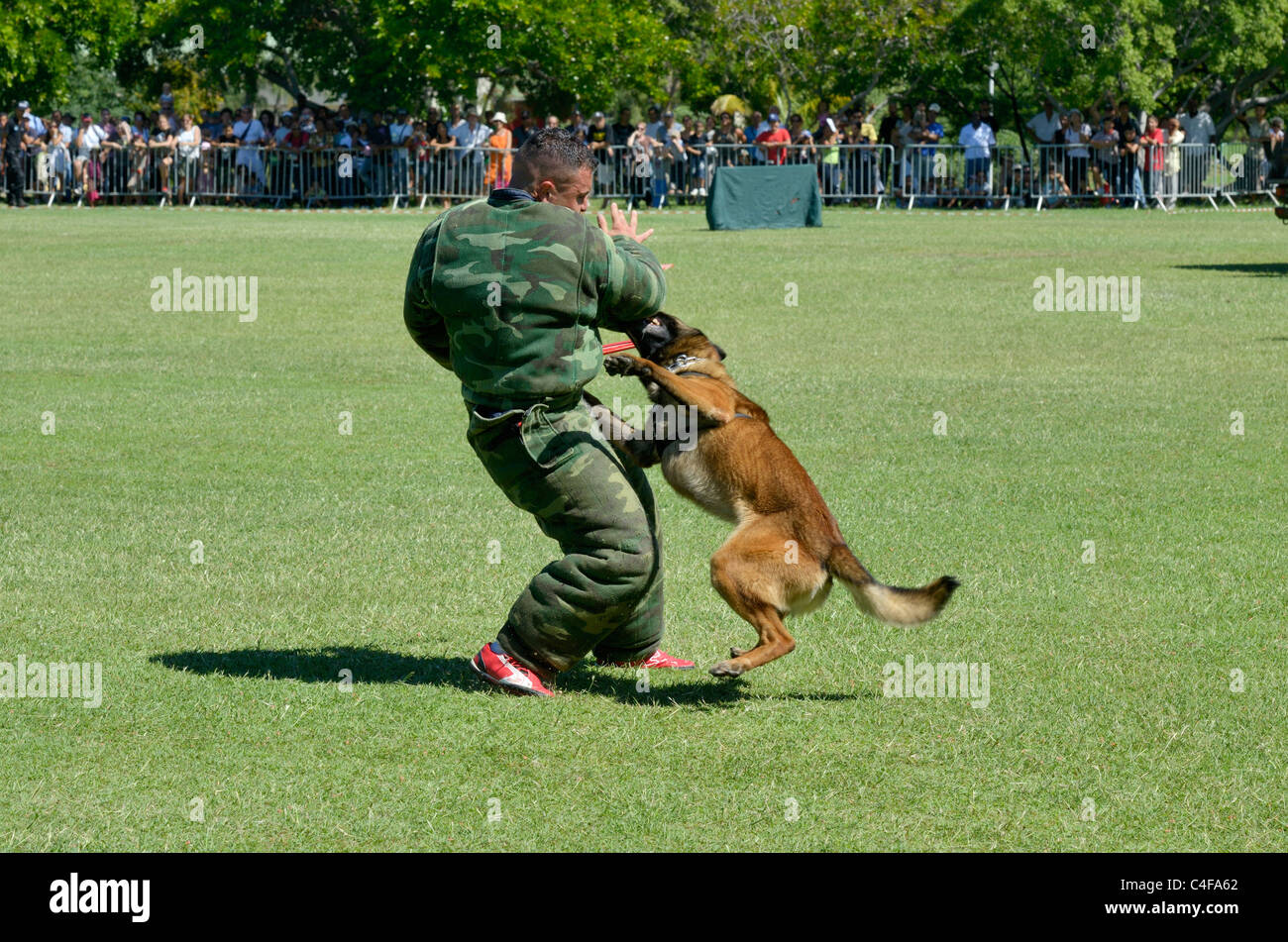Montrer des forces françaises à la réunion de parachutistes Banque D'Images
