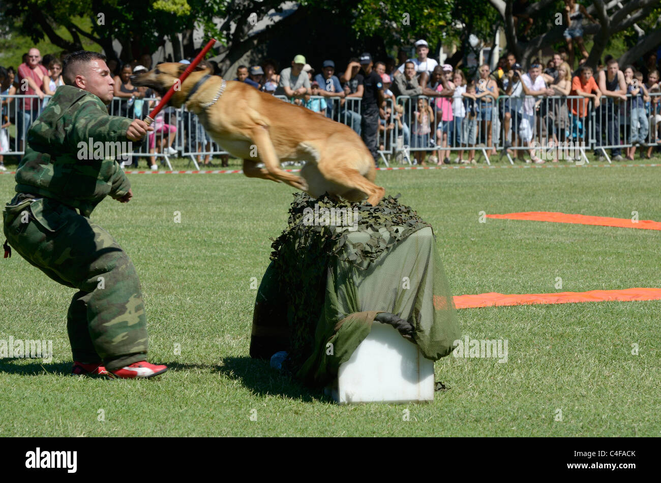 Montrer des forces françaises à la réunion de parachutistes Banque D'Images