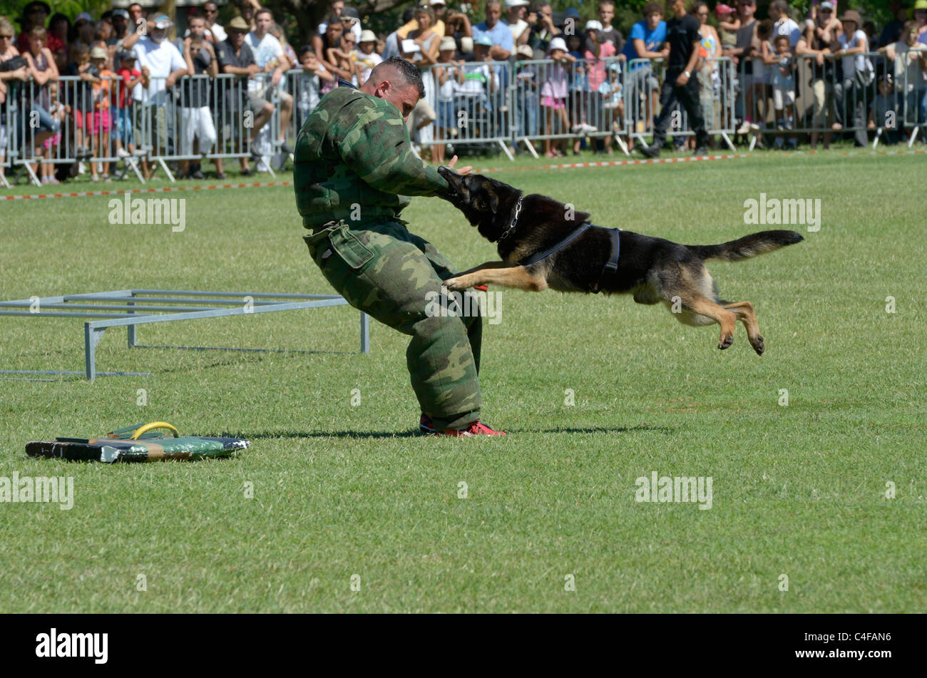 Montrer des forces françaises à la réunion de parachutistes Banque D'Images